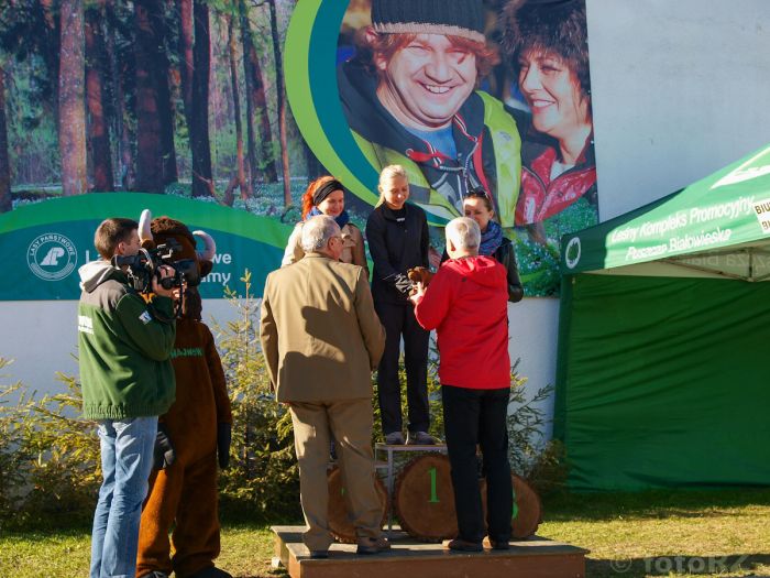 Kliknij aby zobaczyć pełny rozmiar